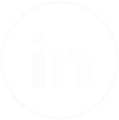 in-icon